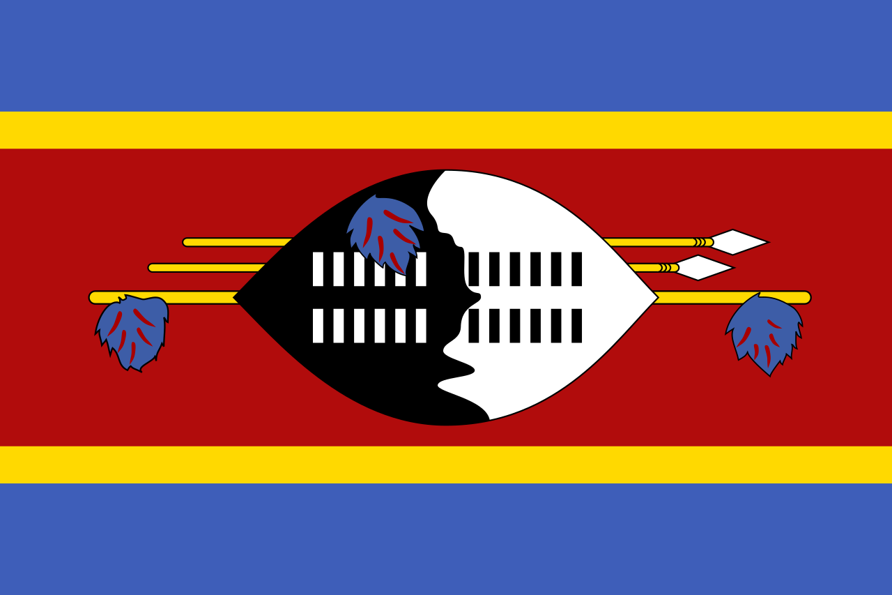 Pasfoto eisen Swaziland (Eswatini) vlag ASA FOTO Amsterdam