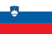 Pasfoto eisen Slovenië vlag ASA FOTO Amsterdam