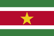 Pasfoto eisen Suriname vlag ASA FOTO Amsterdam