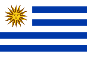 Pasfoto eisen Uruguay vlag ASA FOTO Amsterdam