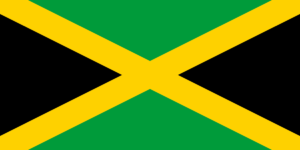 Passport photo requirements Jamaica flag ASA FOTO Amsterdam