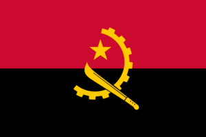 Passport photo requirements Angola flag ASA FOTO Amsterdam