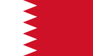 Passport photo requirements Bahrain flag ASA PHOTO Amsterdam