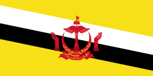 Pasfoto eisen Brunei vlag ASA FOTO Amsterdam