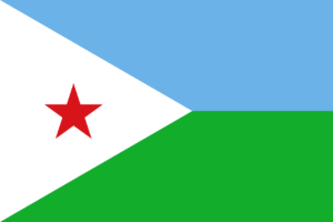 Pasfoto eisen Djibouti vlag ASA FOTO Amsterdam