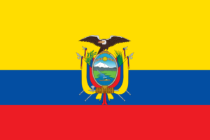 Pasfoto eisen Ecuador vlag ASA FOTO Amsterdam