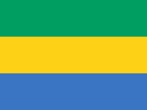 Pasfoto eisen Gabon vlag ASA FOTO Amsterdam