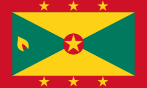 Pasfoto eisen Grenada vlag ASA FOTO Amsterdam