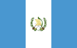 Pasfoto eisen Guatemala vlag ASA FOTO Amsterdam