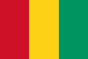 Pasfoto eisen Guinee vlag ASA FOTO Amsterdam