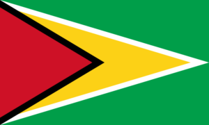 Pasfoto eisen Guyana vlag ASA FOTO Amsterdam