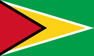 Passport photo requirements Guyana flag ASA FOTO Amsterdam