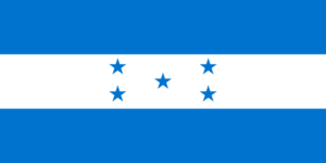 Pasfoto eisen Honduras vlag ASA FOTO Amsterdam