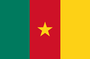 Pasfoto eisen Kameroen vlag ASA FOTO Amsterdam