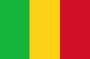 Pasfoto eisen Mali vlag ASA FOTO Amsterdam