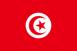 Passport photo requirements Tunisia flag ASA FOTO Amsterdam