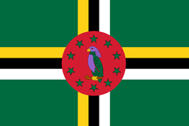 Passport photo requirements Dominica flag ASA FOTO Amsterdam