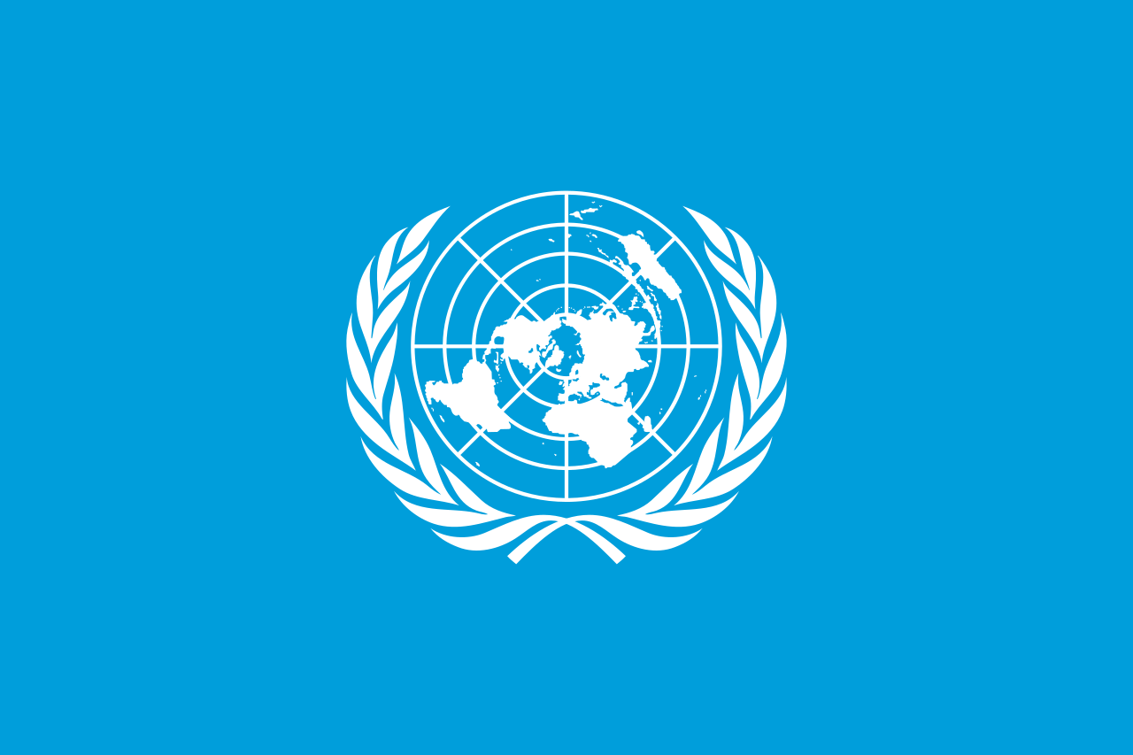 Pasfoto eisen United Nations (VN) vlag ASA FOTO Amsterdam